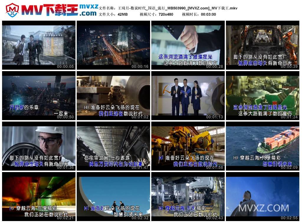 王琦月-数说时代_国语_流行_MB503990